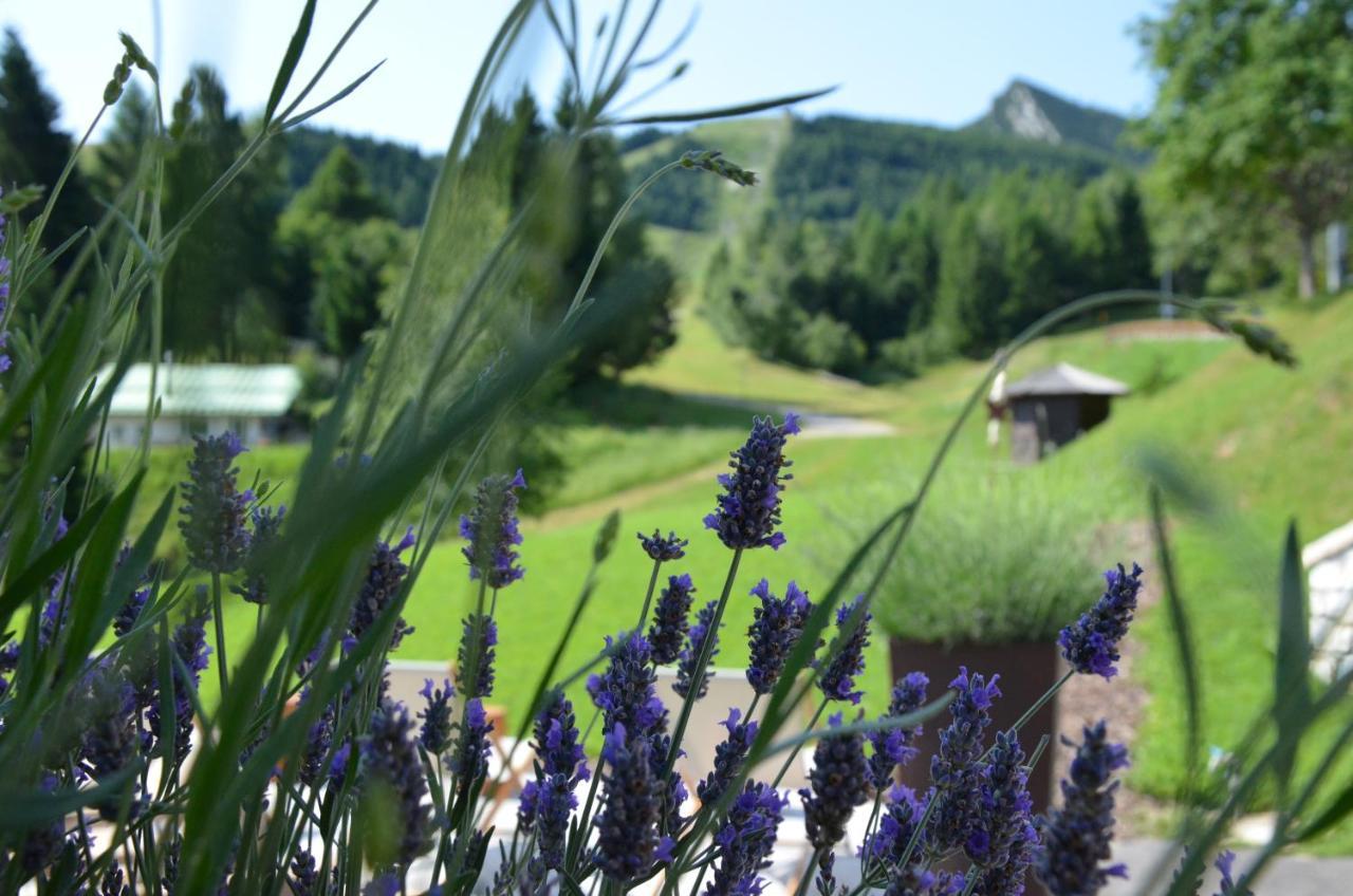 Hotel Norge 4*